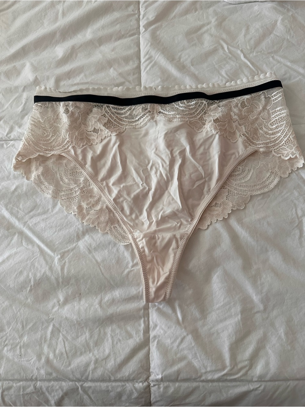 Lace-Trim Bikini Briefs in Cream with Black Waistband 1x